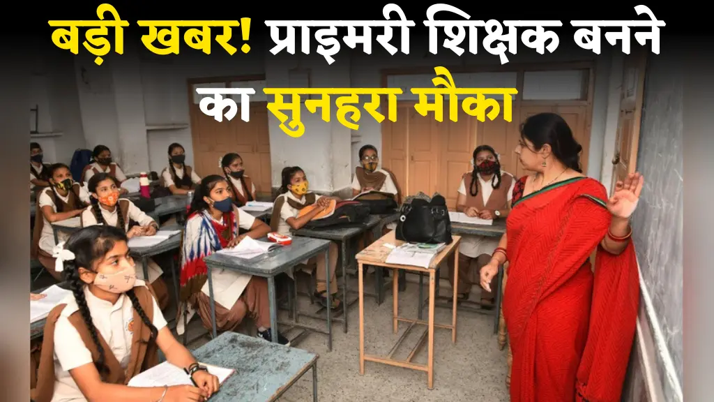 MP Primary Teacher Notice Out